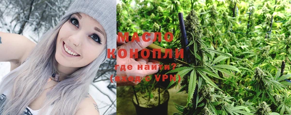 сатива Беломорск