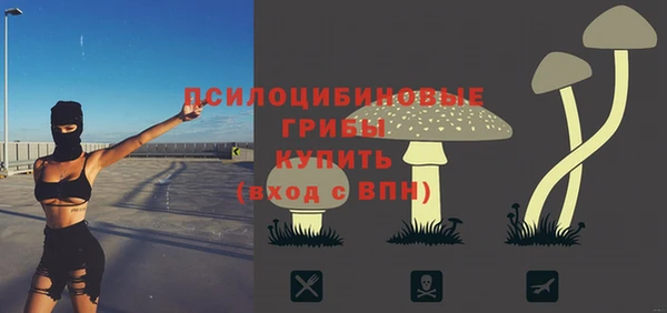 амф Переславль-Залесский