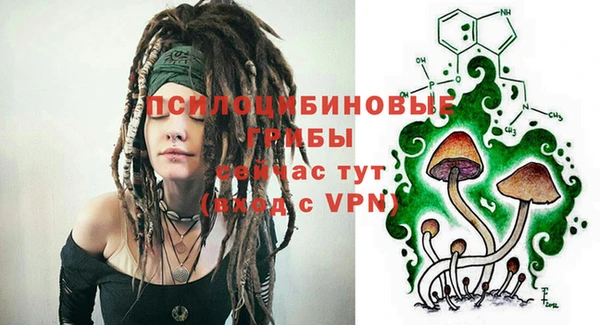 кокс Баксан