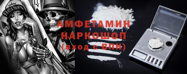 сатива Беломорск