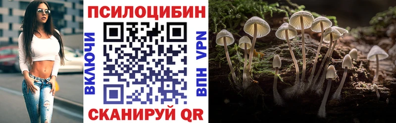 Галлюциногенные грибы Psilocybine cubensis  Салаир 